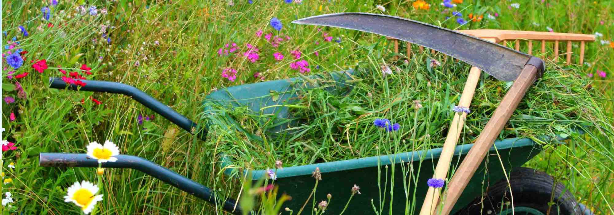 Mowing a flower meadow or a grassy area