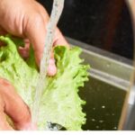 How to use greywater in the garden?