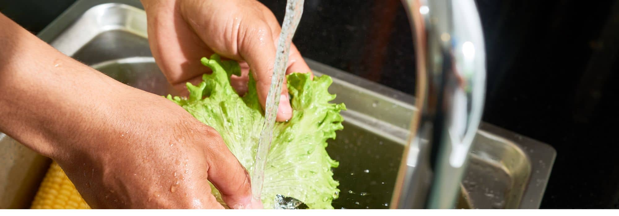 How to use greywater in the garden?