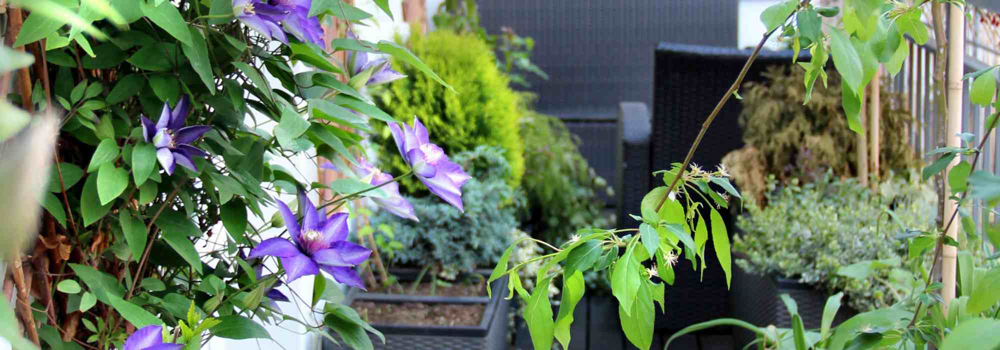 How to dress a balcony railing?