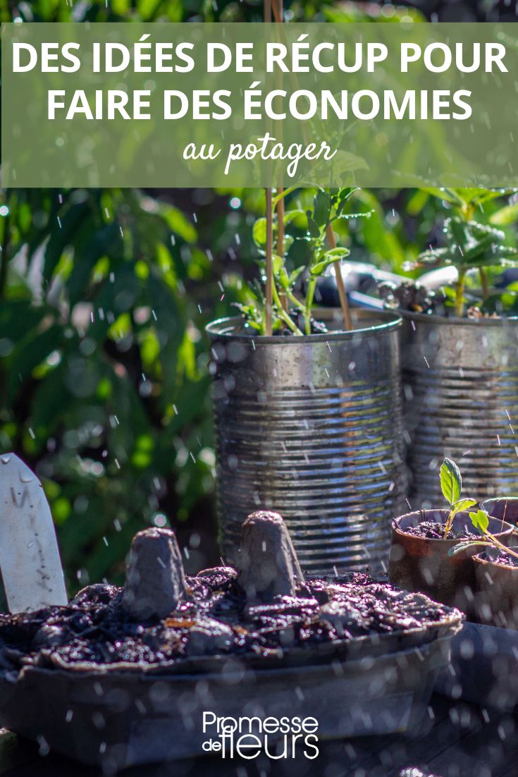 upcycling in the vegetable garden