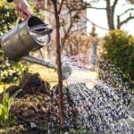 The best times to plant