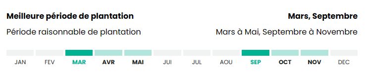 Good planting periods, when to plant a tree, when to plant a bush, the best time of year to plant a tree, bush or perennial