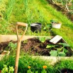How to ruin your vegetable garden in 5 lessons?