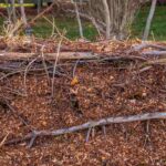 Raised-bed cultivation: why and how to practise it?