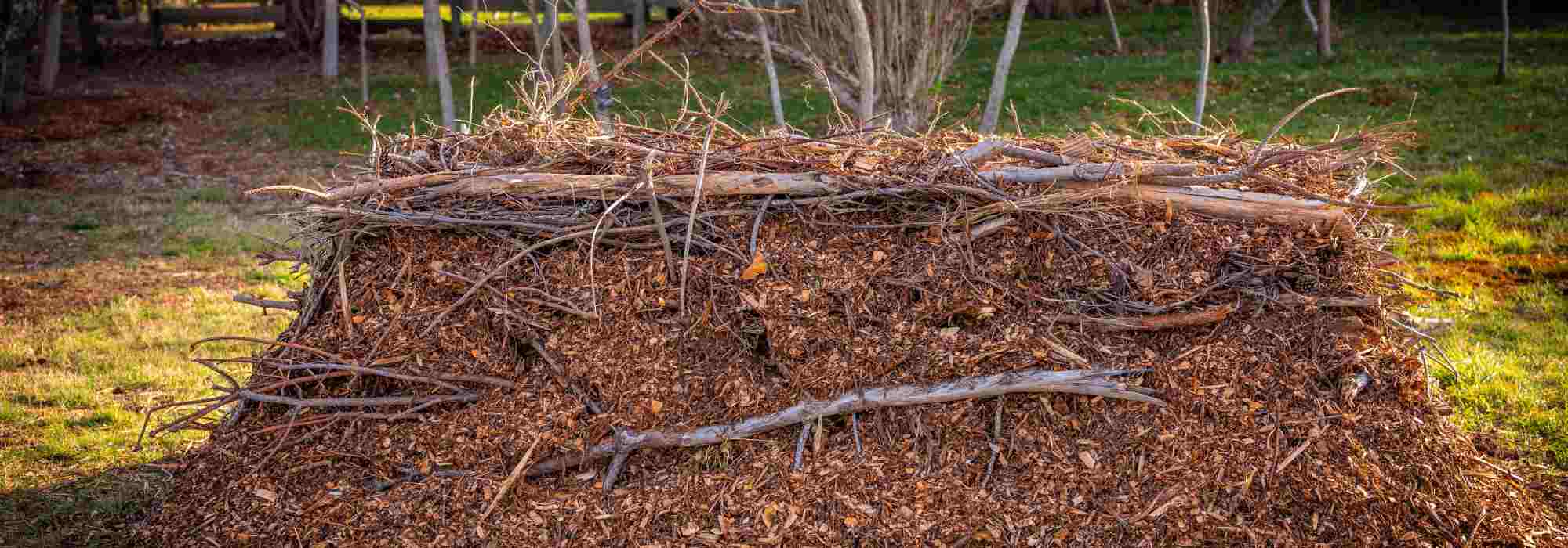 Raised-bed cultivation: why and how to practise it?