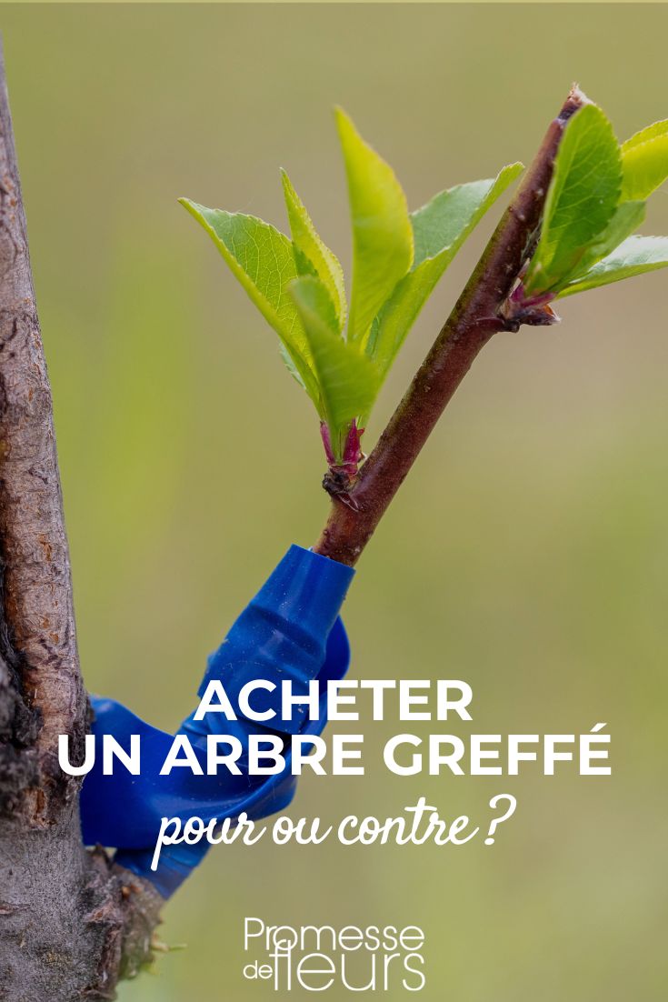 Sorry, but there is no text to translate.