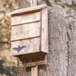 How to make a bat shelter?