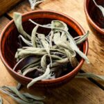 How to dry and store common sage?