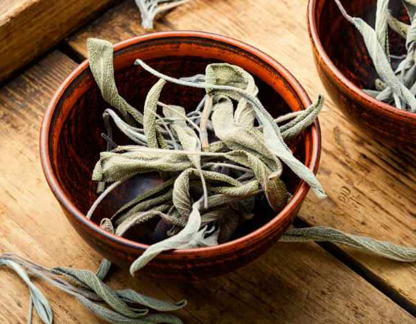 How to dry and store common sage?