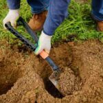 How to fail at planting your shrubs in 5 lessons?