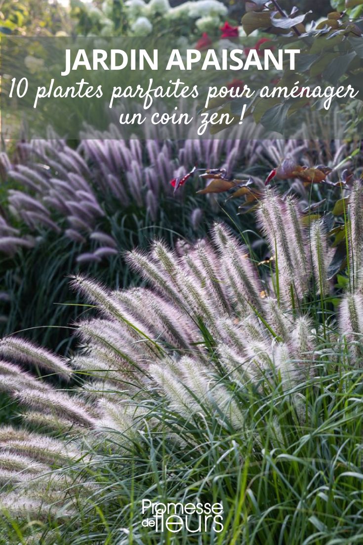 10 perfect plants for a cozy and soothing garden