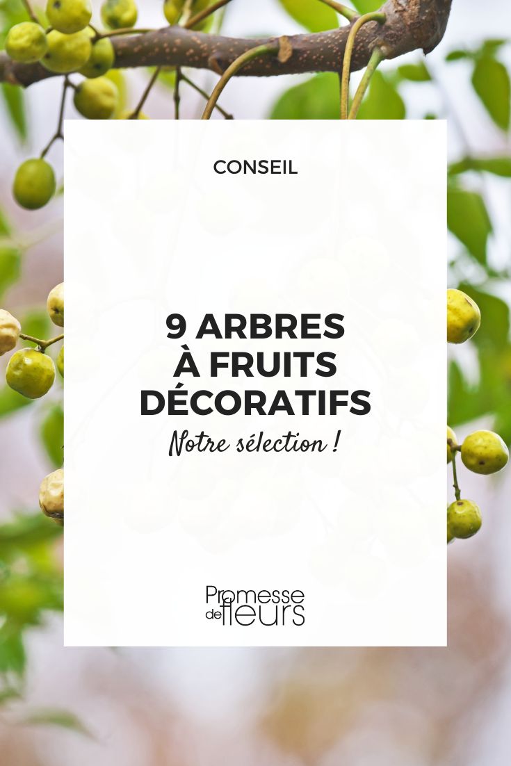 Sorry, but the text to be translated is empty.