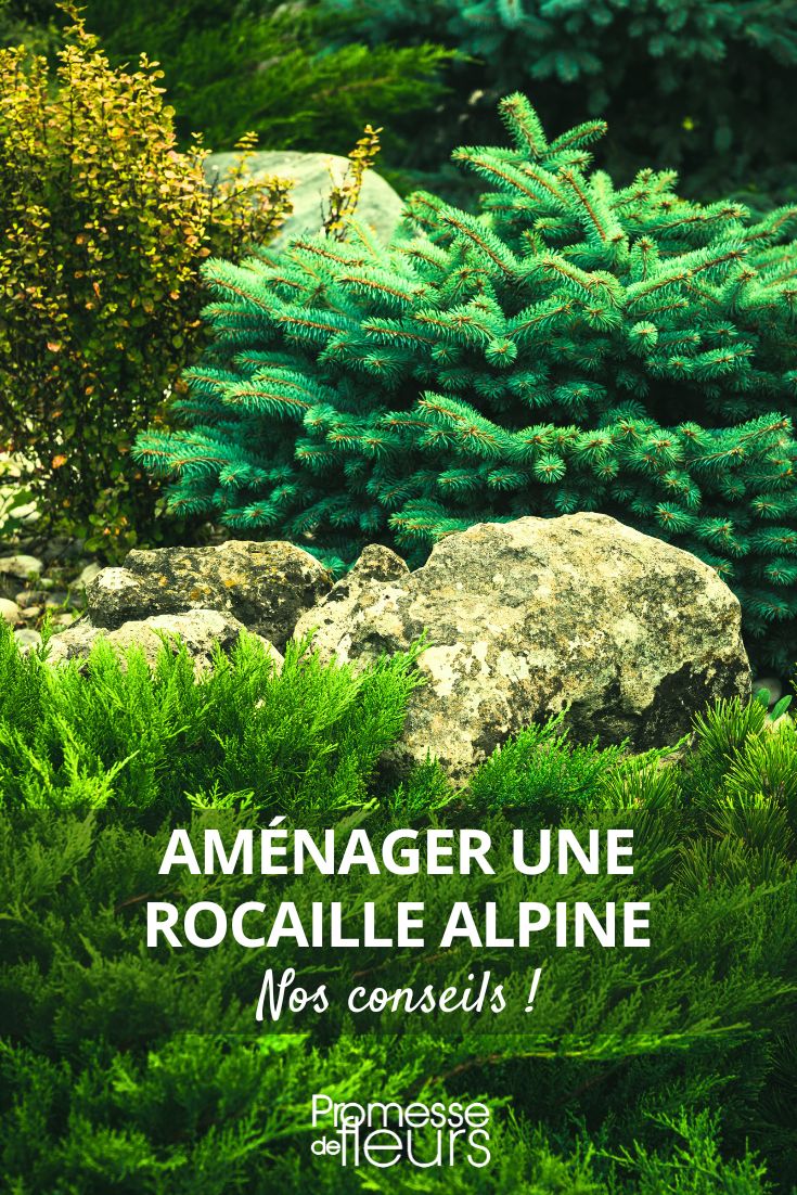 Creating an Alpine Rockery rockery