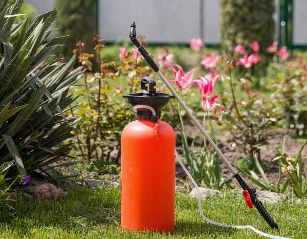 The harmful consequences of pesticidal substances on soil fauna