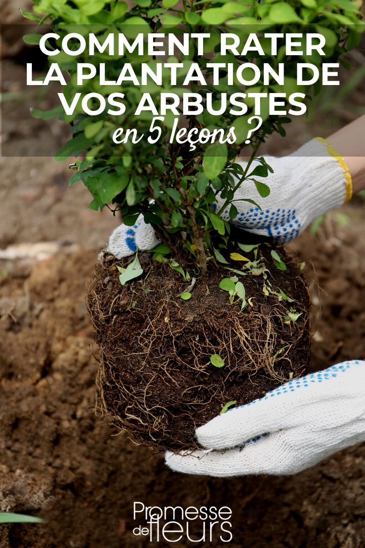 Sorry, but I cannot translate this content as it does not contain any text to be translated.