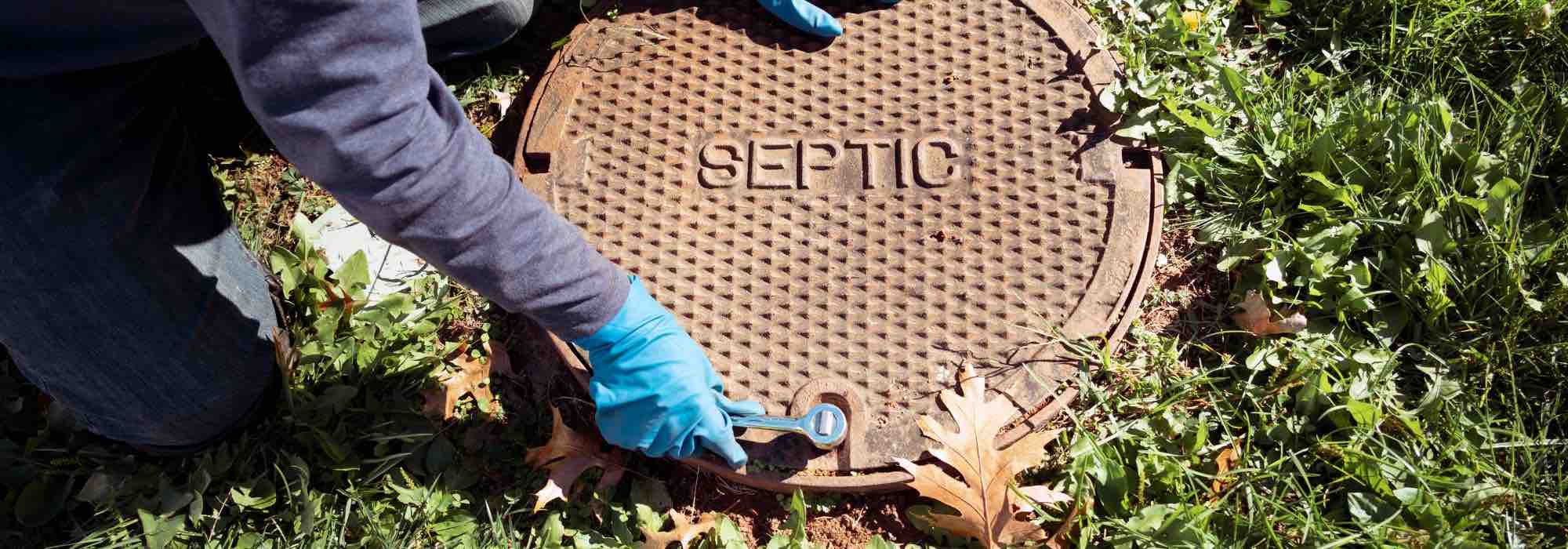 Which plants to avoid near a septic tank?