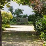 5 hedge bushes for stony soil