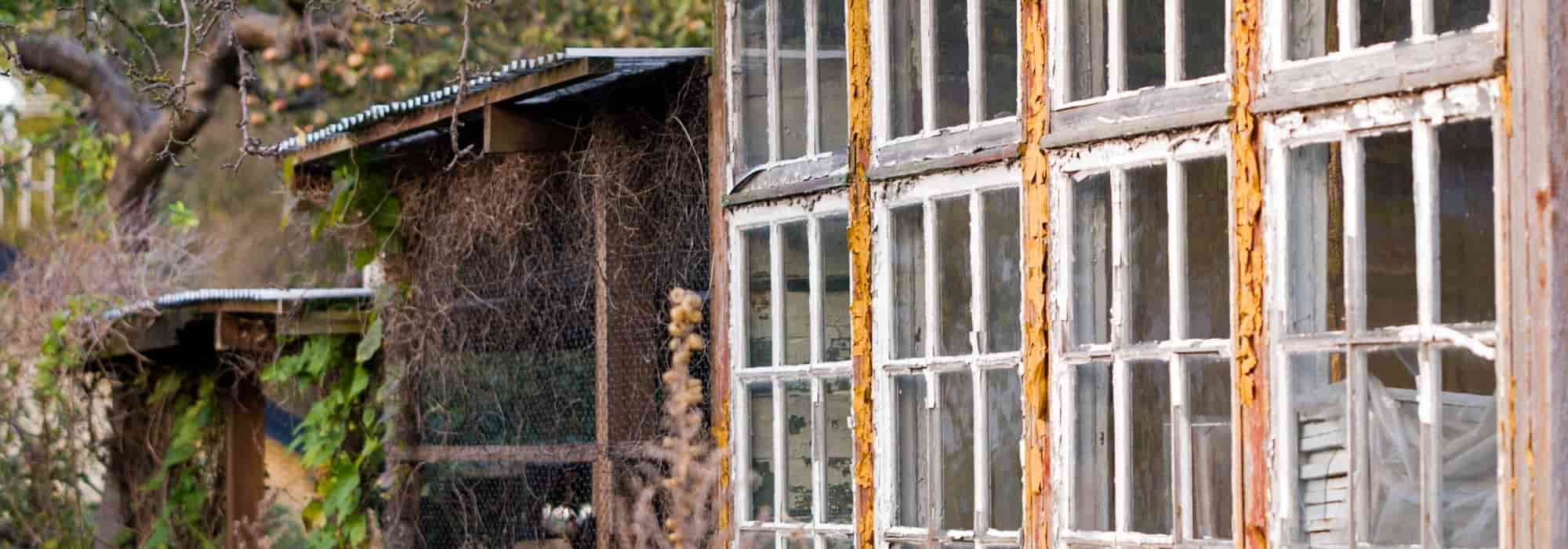 My neighbour doesn't look after his garden: what can I do?