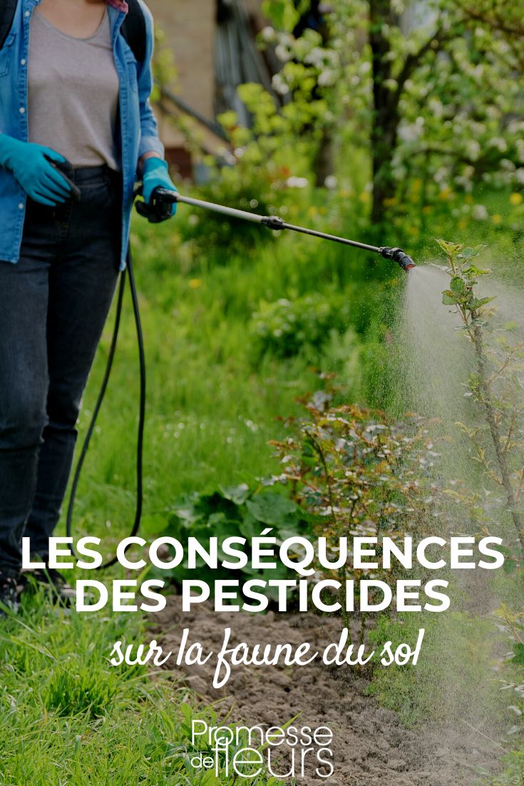 Pesticides and Soil Life The harmful effects of pesticides on soil fauna