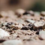 5 schrubs for rocky soil