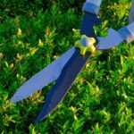 How to prune and care for evergreen shrubs?