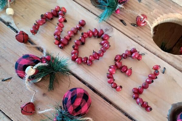 Oh oh oh! How to create a natural Christmas decoration with hips?