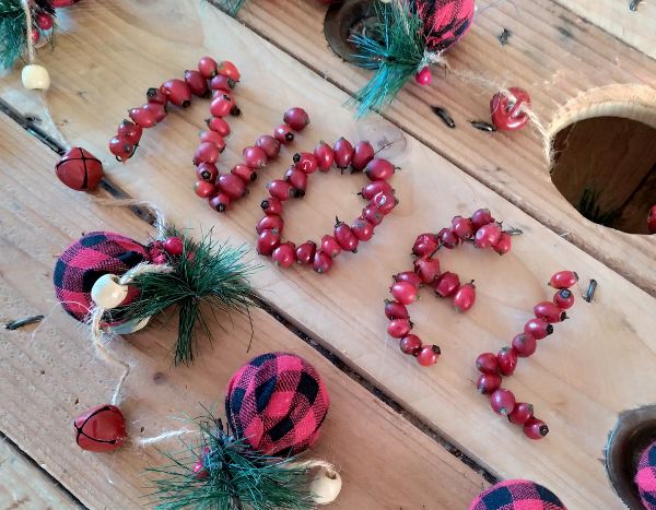 Oh oh oh! How to create a natural Christmas decoration with hips?