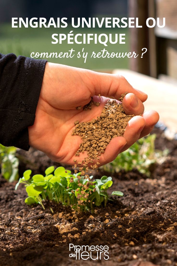 Which one to choose and why?