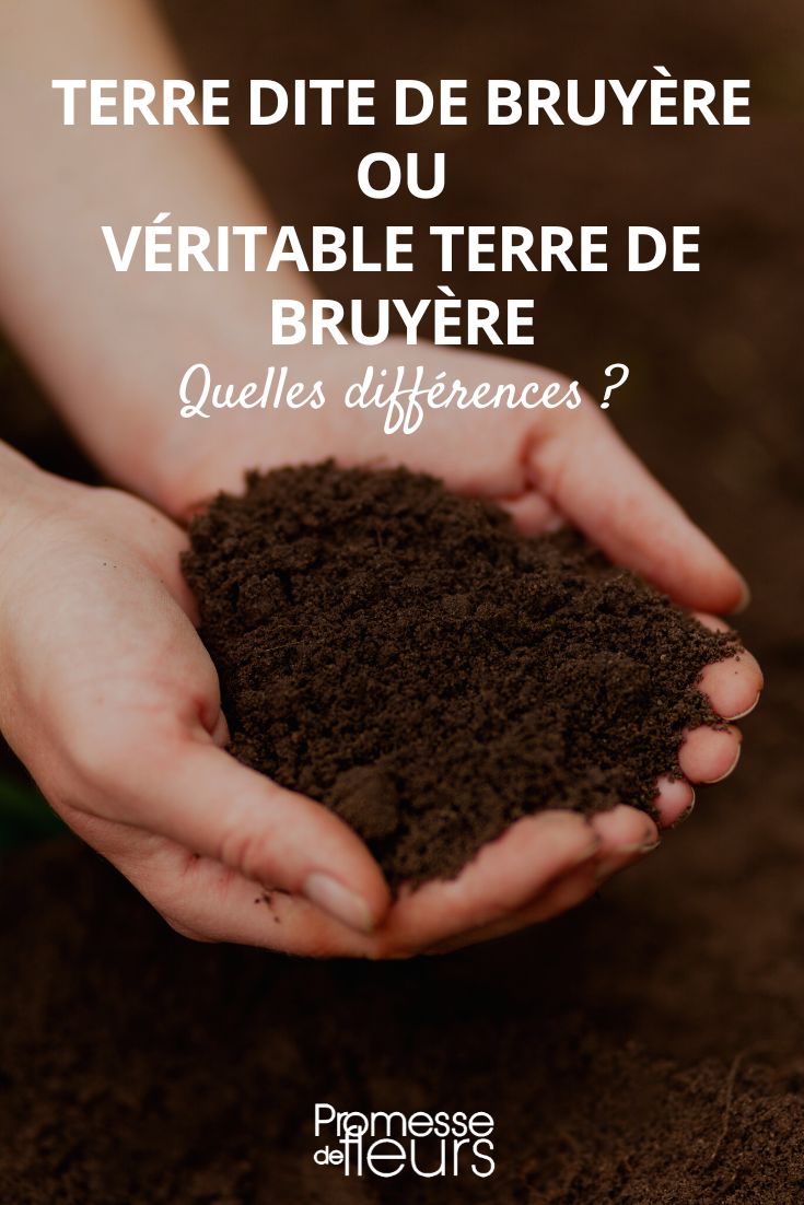 Heather soil or true heather soil: what are the differences substrate for acidophilous plants