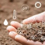 Carrying out a soil analysis: why and how?