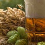 Choosing the right hop variety to brew your beer