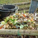 How to fail at composting in 6 lessons?