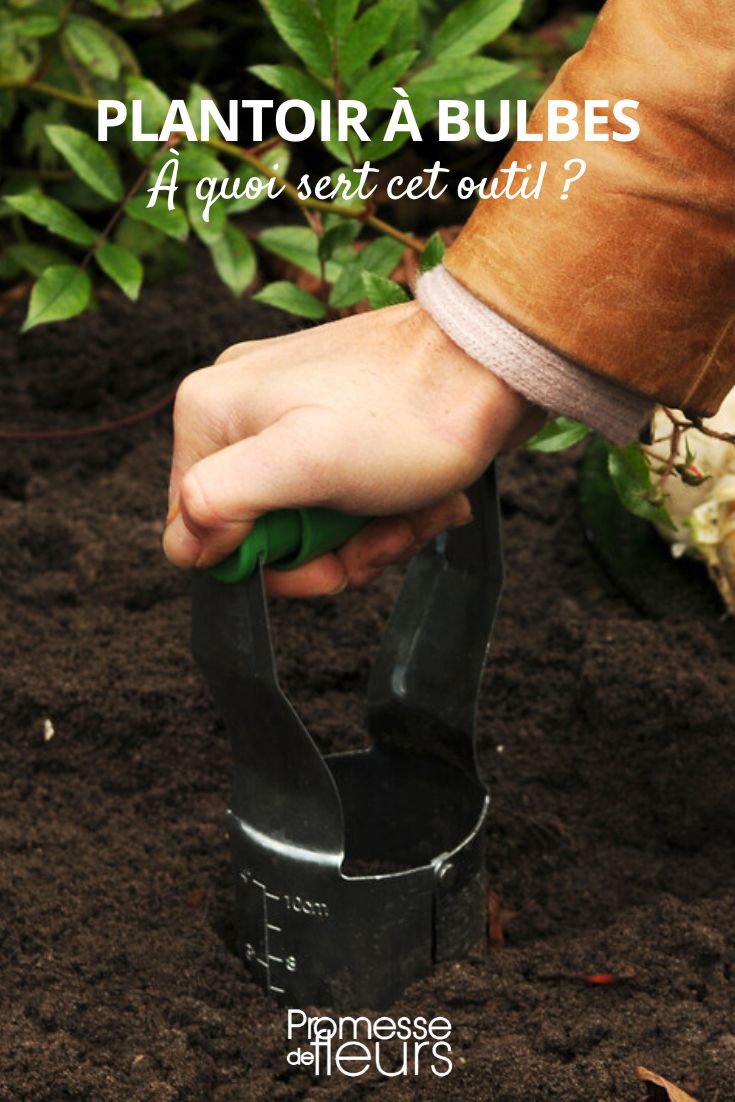 bulb planting tool