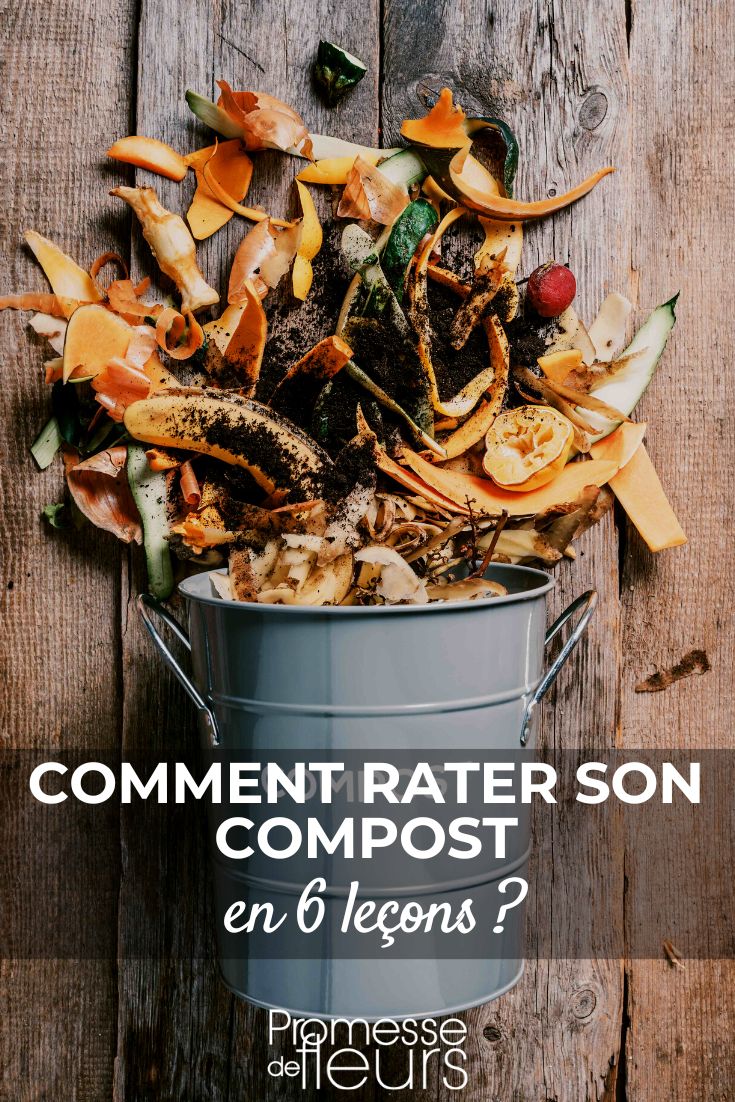How to Fail at Composting in 6 Lessons Sorry, there is nothing to translate in this request.