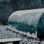 Winter greenhouse cultivation: benefits and practical tips