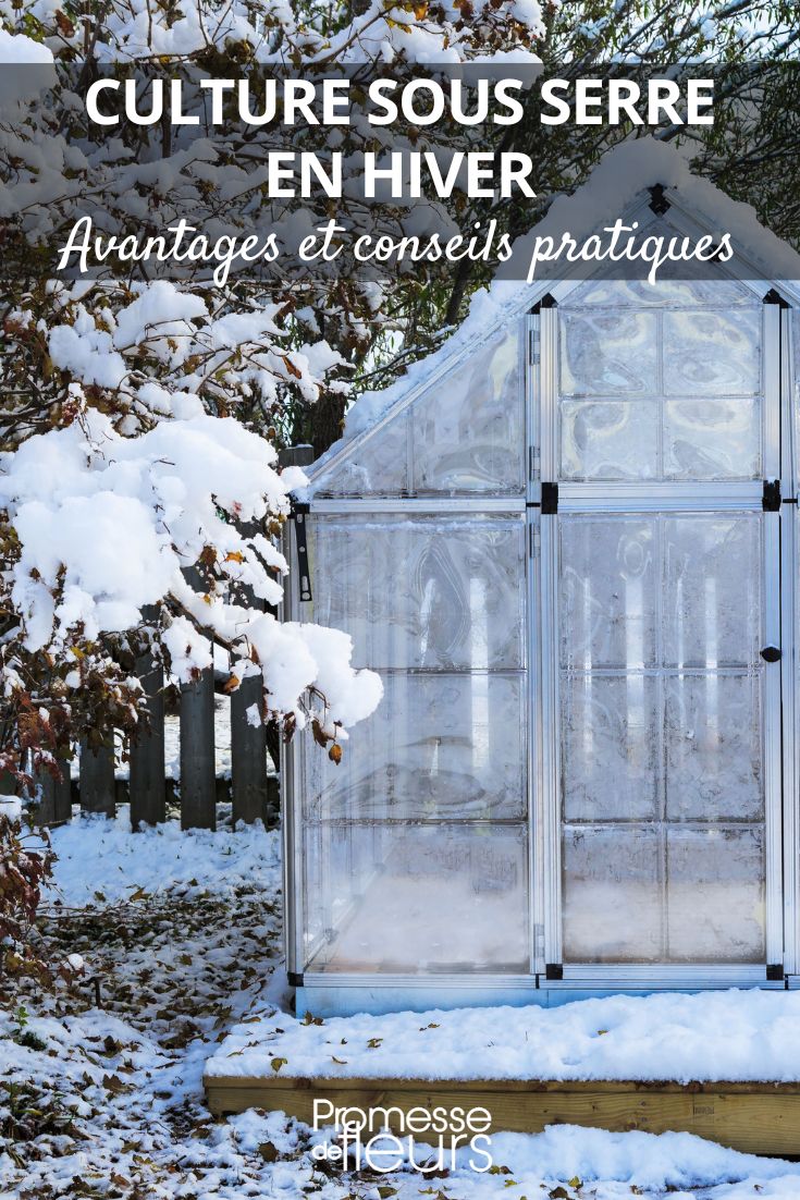 Greenhouse Cultivation