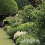 Native plant, cultivar, nativar: what are the differences?