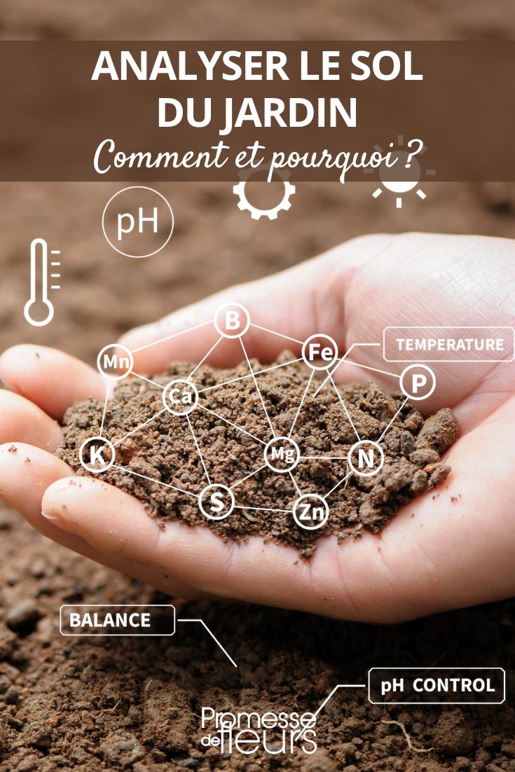 Soil Analysis: Why and How?

Soil analysis is a crucial step in gardening and farming. By analyzing the soil, you can determine its composition, pH level, nutrient content, and overall health. This information is essential for understanding what your plants need to thrive and for making informed decisions about fertilization and soil amendments.

**Why is soil analysis important?**

1. **Nutrient Levels**: Soil analysis reveals the levels of essential nutrients like nitrogen, phosphorus, and potassium present in the soil. This helps you determine if any nutrients are lacking or in excess, allowing you to adjust your fertilization practices accordingly.

2. **pH Level**: The pH level of the soil influences nutrient availability to plants. Some plants prefer acidic soil, while others thrive in alkaline conditions. Soil analysis helps you understand the pH of your soil and whether any adjustments are needed.

3. **Soil Composition**: Different soil types have varying drainage capacities and water retention abilities. Soil analysis helps you identify the composition of your soil, whether it's sandy, clayey, or loamy, allowing you to choose the right plants and cultivation techniques.

**How to conduct a soil analysis?**

1. **Soil Sampling**: Collect soil samples from different areas of your garden or field, ensuring they represent the entire area. Use a soil auger or shovel to gather samples at various depths.

2. **Laboratory Analysis**: Send the soil samples to a reputable laboratory for analysis. The lab will test the soil for nutrient levels, pH, organic matter content, and other relevant parameters.

3. **Interpreting Results**: Once you receive the soil analysis report, interpret the results to understand your soil's characteristics. Consult with a horticulturist or agricultural expert if needed to develop a soil management plan.

By conducting regular soil analyses, you can ensure that your plants receive the necessary nutrients for healthy growth and productivity. It's a valuable tool for any gardener or farmer looking to optimize their soil health and plant performance.