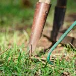 When renting, who is responsible for the garden maintenance?