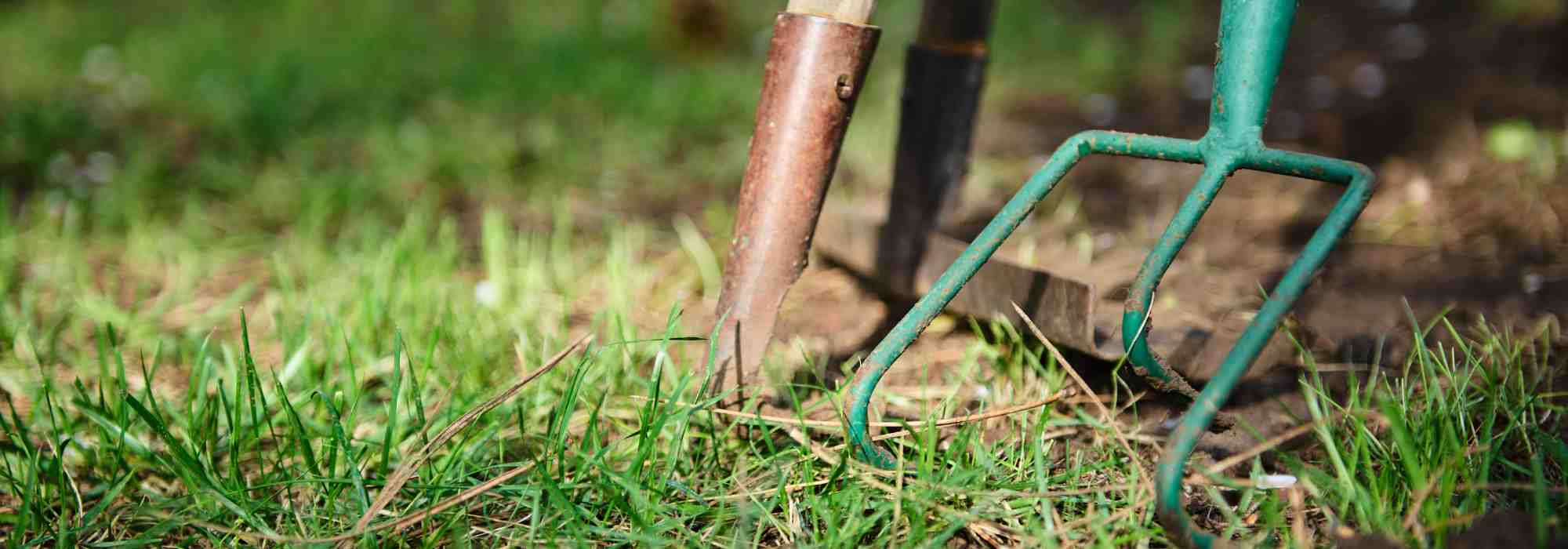 When renting, who is responsible for the garden maintenance?
