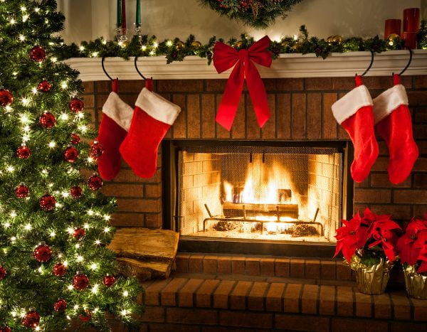 Fir, mistletoe, holly: the history of Christmas plant symbols