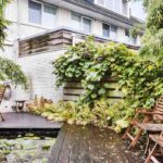 9 ideal plants for greening a contemporary terrace