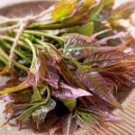 How to cook leaves of the 'salad tree' <em>Toona sinensis</em>?