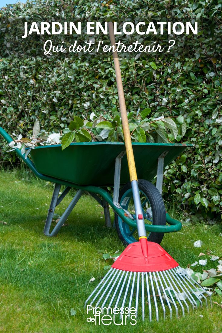 Gardening Maintenance: Tenant vs Landlord