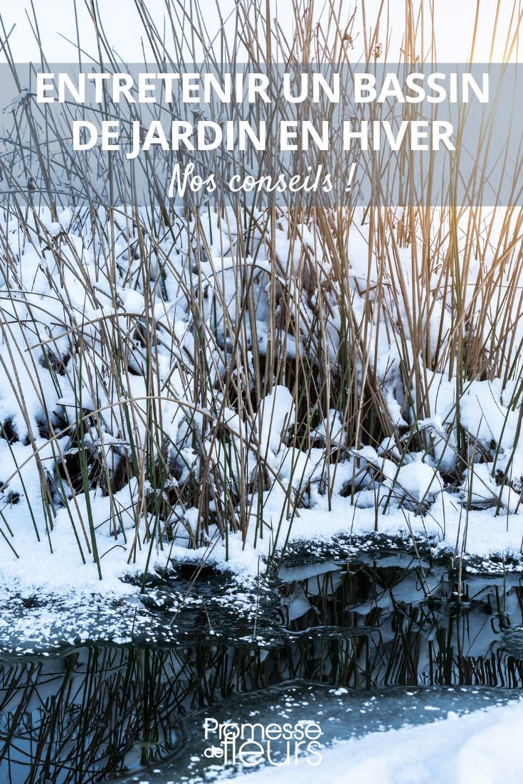 Winter Pond Maintenance