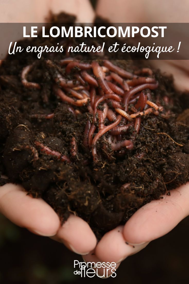worm composter