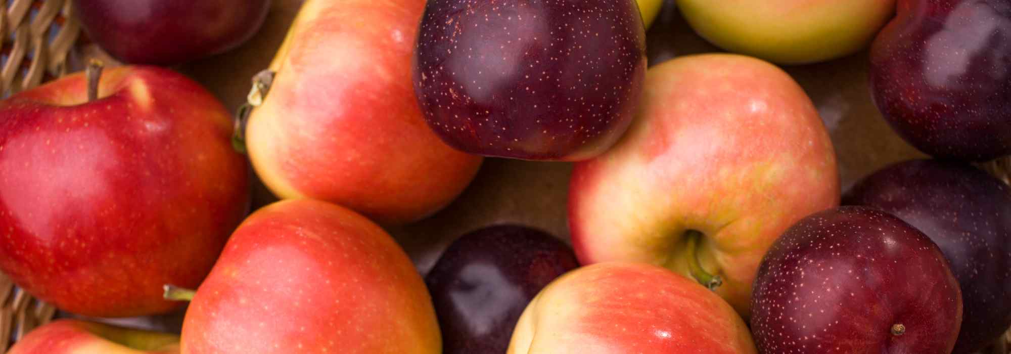 Fruits with pips or stone fruits: what are the differences?