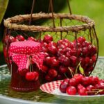 How to harvest and store cherries?