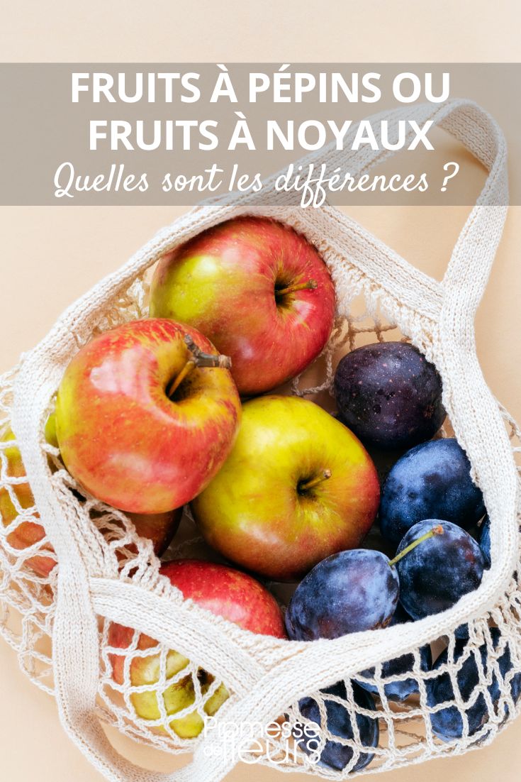 Fruits with Pips or Fruits with Stones: What Are the Differences apples and plums